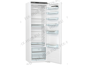 Холодильник Gorenje RI2181A1 (728401, HI3128RFF) - Фото